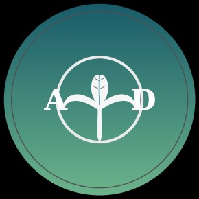 Alexa Daniela cabinet individual de psihologie