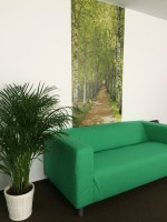 Ponov Darius - Cabinet individual psihologie-psihoterapie Ponov Darius - Cabinet individual psihologie-psihoterapie