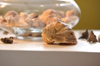 Magdo Kinga Cabinet Individual de Psihologie Magdo Kinga Cabinet Individual de Psihologie