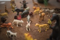 Psiholog Carmen Grigoras Nitescu Psiholog Carmen Grigoras Nitescu