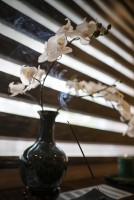 Psiholog Carmen Grigoras Nitescu Psiholog Carmen Grigoras Nitescu