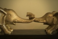 Psiholog Carmen Grigoras Nitescu Psiholog Carmen Grigoras Nitescu