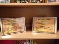 Cabinet individual psihologie Presură Andreea Cabinet individual psihologie Presură Andreea