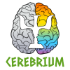 Cerebrium Tulcea - Neurofeedback & Brainmapping & Psihoterapie