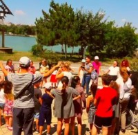 Iuliana Fülas - Cabinet individual de psihologie clinica si psihoterapie Iuliana Fülas - Cabinet individual de psihologie clinica si psihoterapie