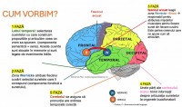 Asa vorbim..   Asa vorbim..