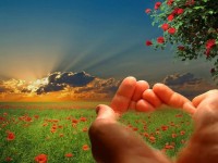 Andreea Pascu - Cabinet individual de psihologie Andreea Pascu - Cabinet individual de psihologie