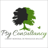 Psy Consultancy, Cabinet individual de psihologie aplicata