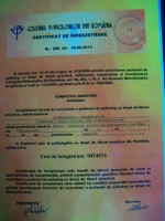 Cabinet individual de psihoterapie Ivănescu Gabriela Cabinet individual de psihoterapie Ivănescu Gabriela