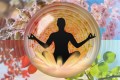 Mindfulness – Arta de a trăi conștient