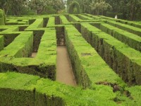 Din orice labirint exista cel putin o cale de iesire Din orice labirint exista cel putin o cale de iesire